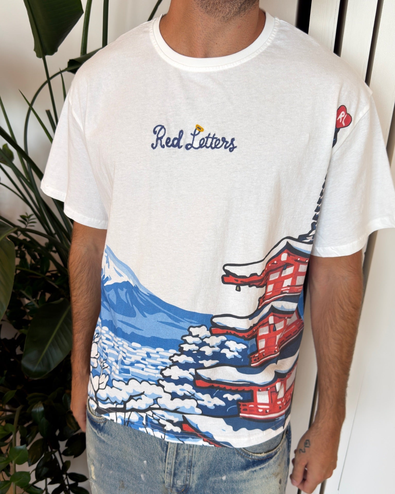 Japan Fuji Tee - Red Letters